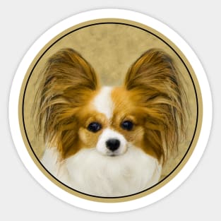 Papillon (Hound Tri) Sticker